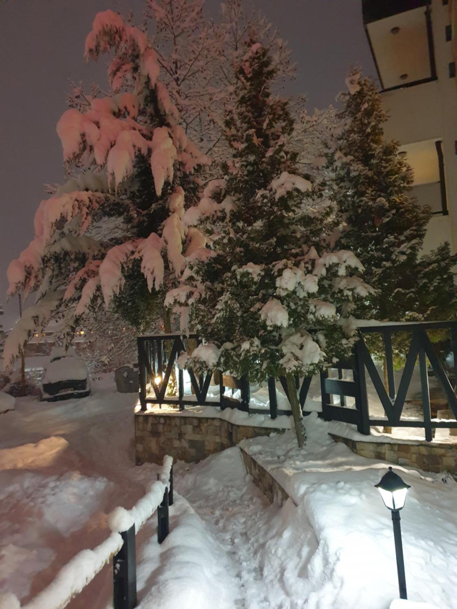 Dream Apart Hotel 207 بانسكو الغرفة الصورة